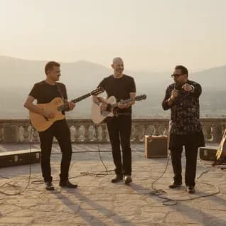 Access to Artist Network