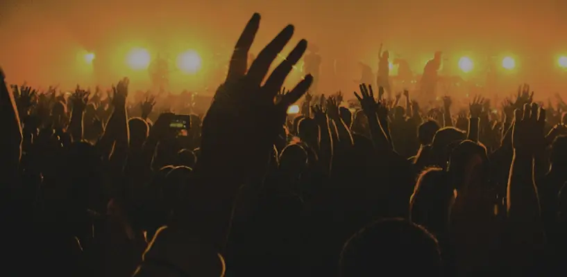 Concert Crowd