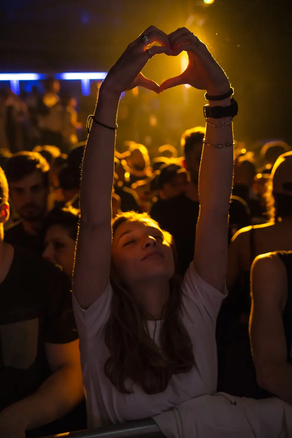 Concert Crowd